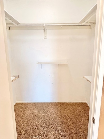 Building Photo - 1844 Paradise Way