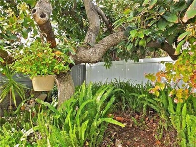 Building Photo - 680 N Cambridge St