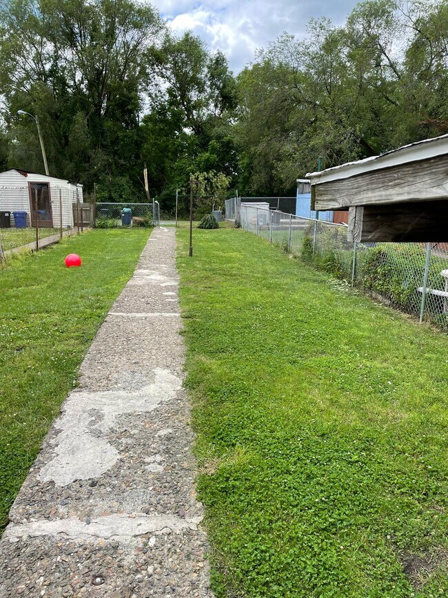 shared backyard - 114 Mercer St