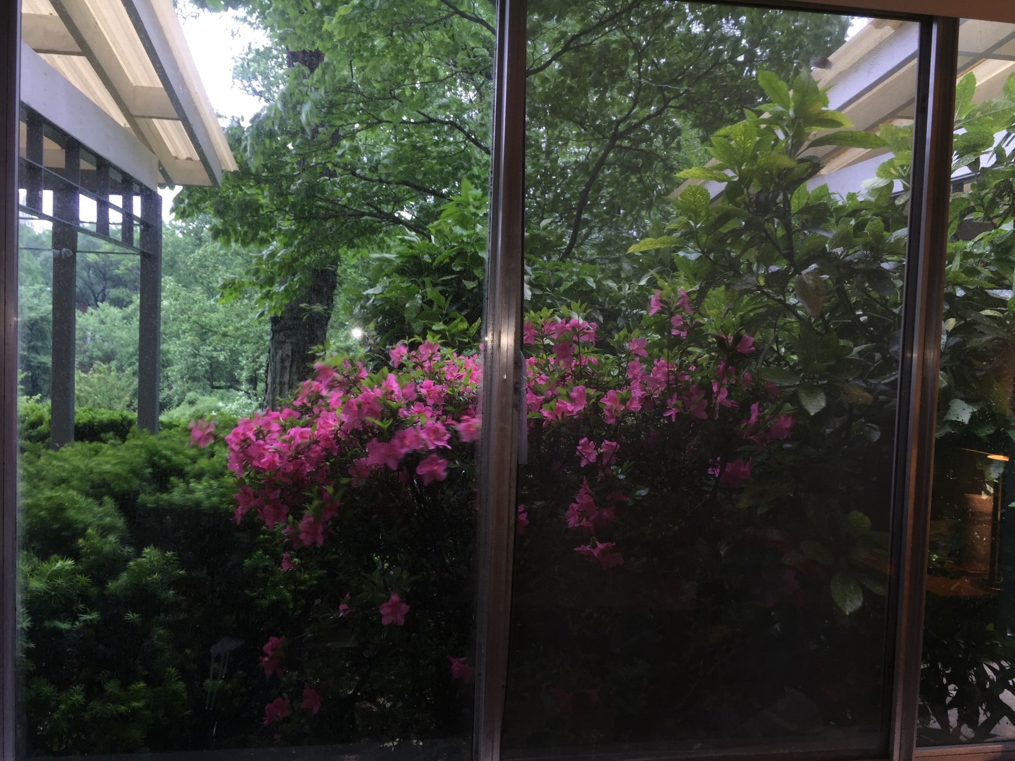 Master bedroom window - 10201 Grosvenor Pl