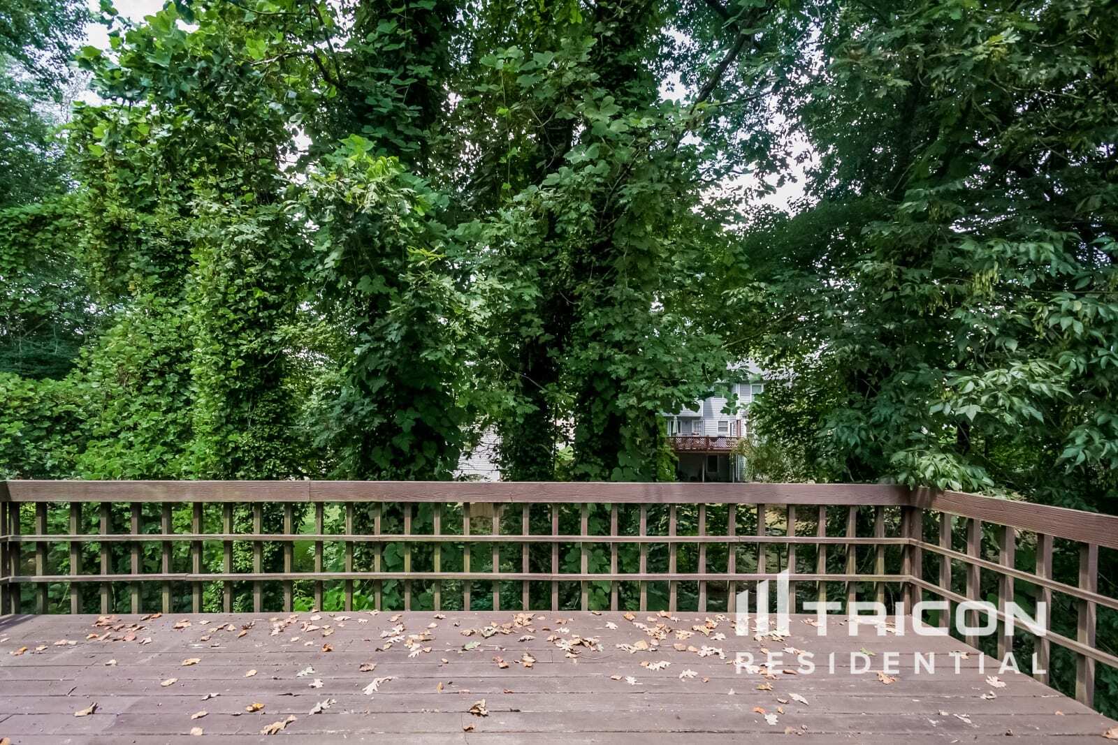 Building Photo - 2809 Cobb Place Manor Ct
