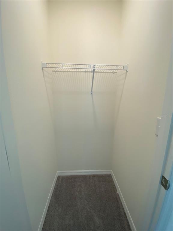 Building Photo - 2906 Suncoast Plains Dr