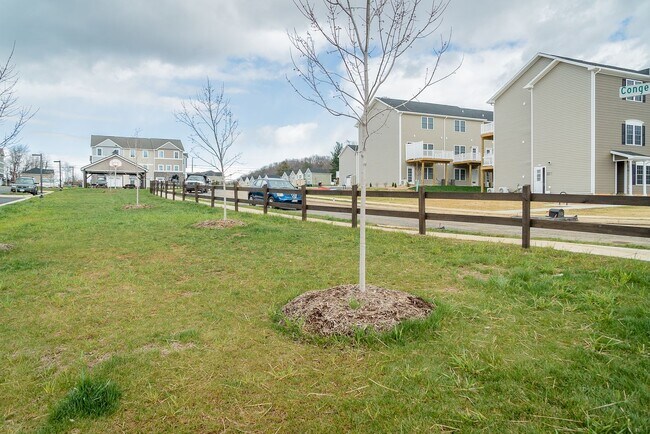 Building Photo - 1308 Palomino Trl