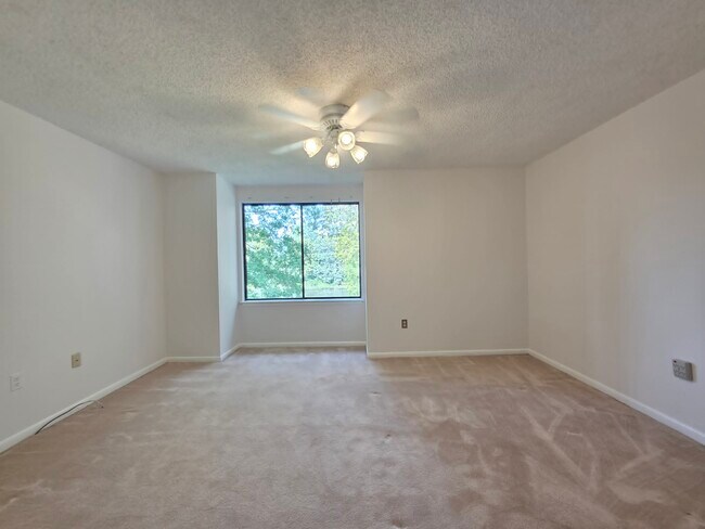 Building Photo - 231 Canal Park Dr