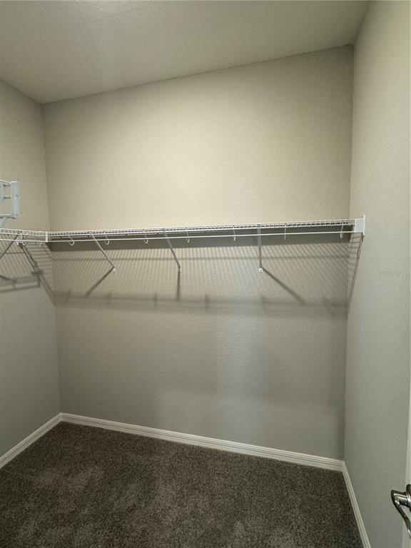 Building Photo - 1008 Aruba Ave