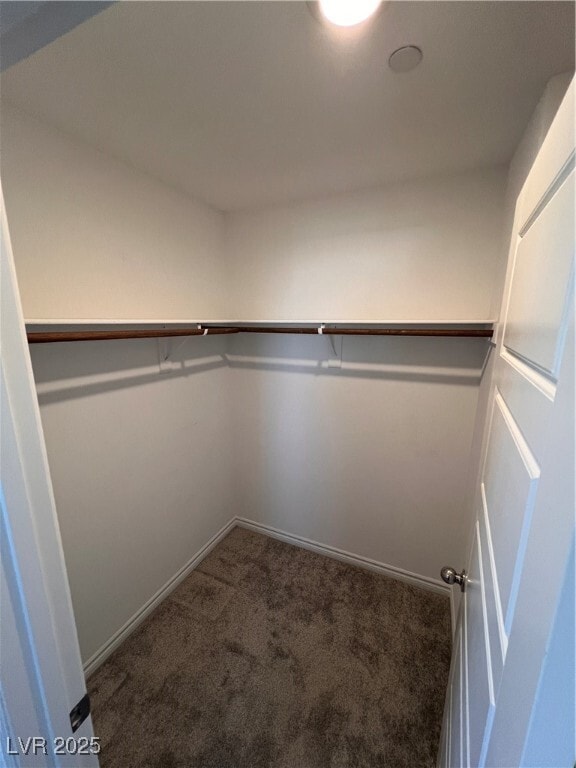 Building Photo - 10713 Lilestone Ct