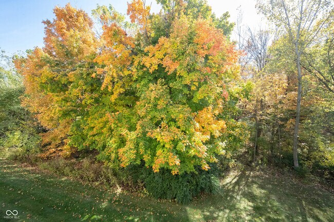 Building Photo - 9009 Mercer Dr