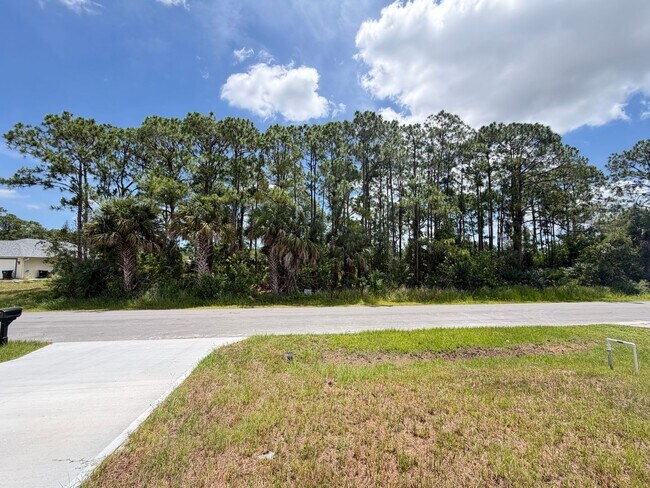Building Photo - Brand-New 4BR Palm Bay Retreat Designed for Modern Living! NEW BUILD HOME!