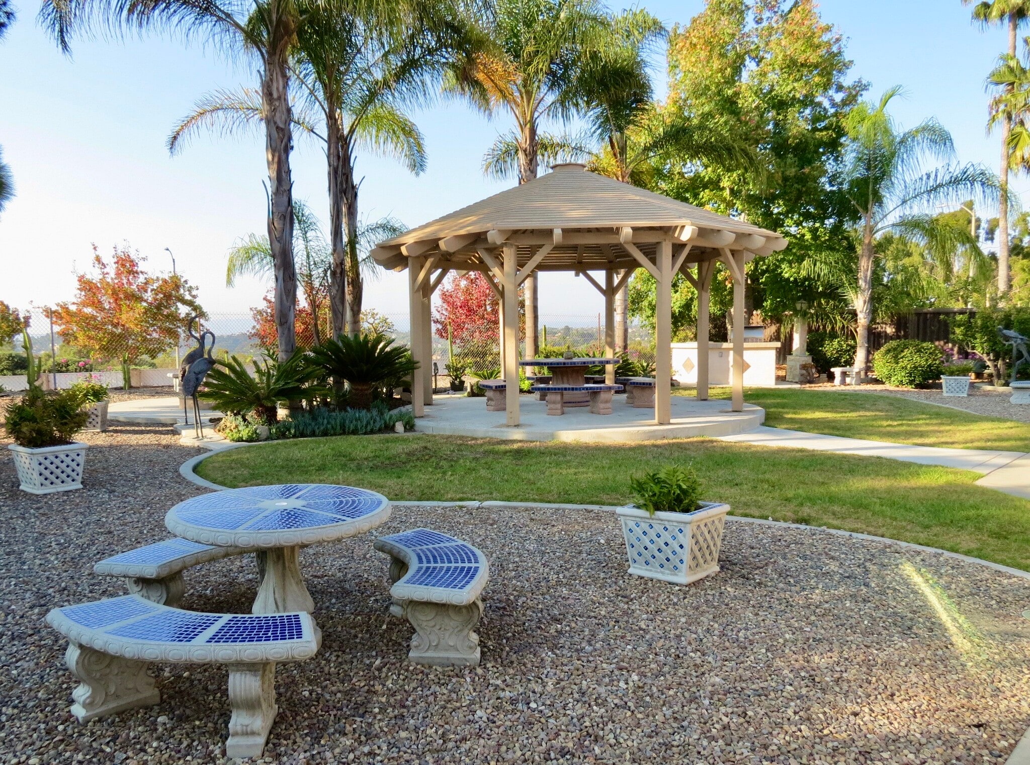 Back yard - 2414 Sonora Ct
