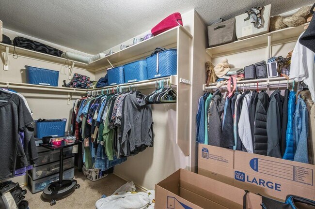 Building Photo - 922 Satellite View