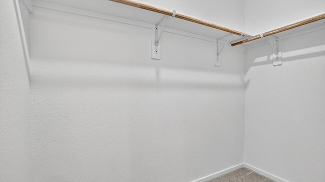 Building Photo - 26911 Dalmatian Bellflower Dr