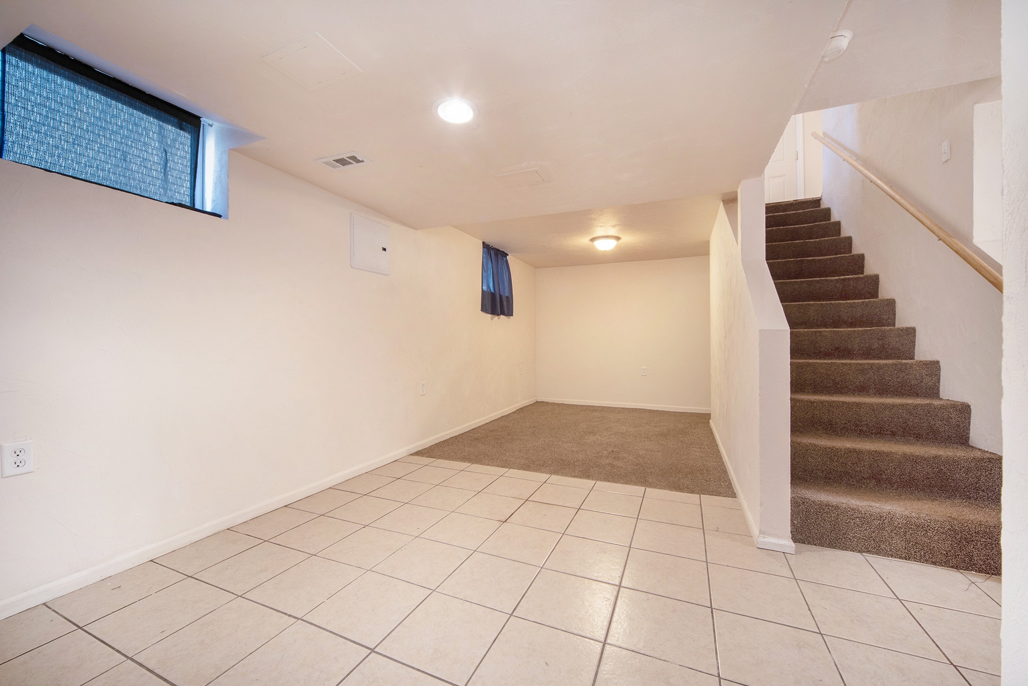 Lower level family room - 1115 Lafayette Ave