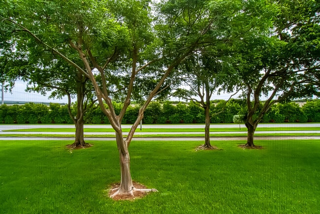 Building Photo - 438 Mansfield K