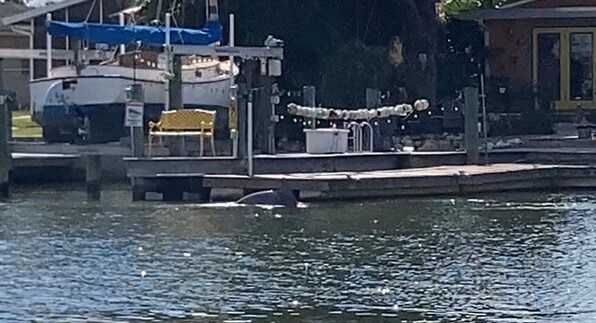 Building Photo - 5157 Silent Loop