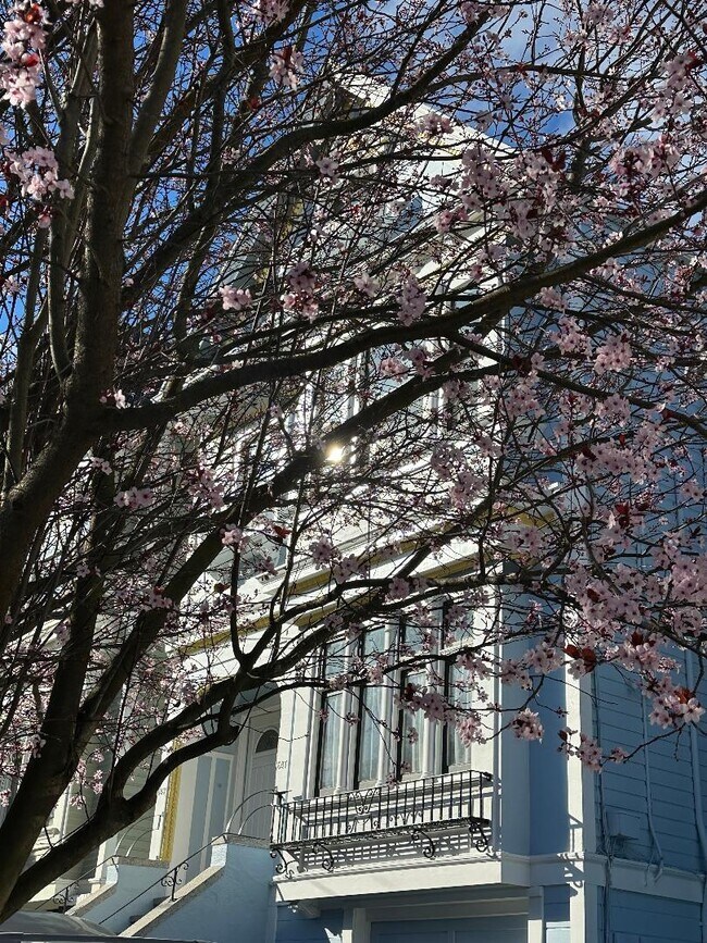 Building Photo - 649 5th Ave