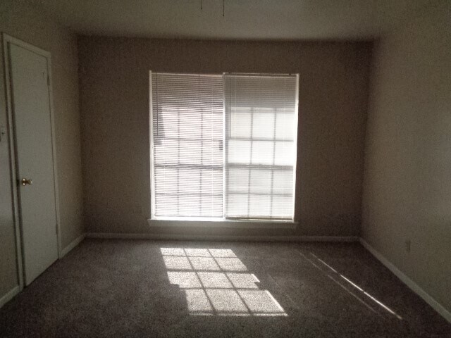 Building Photo - 5502 Deep Forest Dr