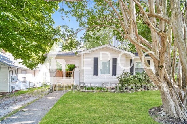 Primary Photo - 205 Warner St