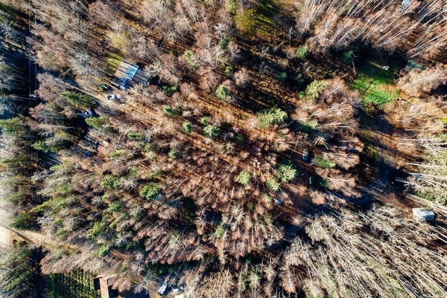 Building Photo - Cozy 2 Bedroom, 1 Bath, With a great Location!