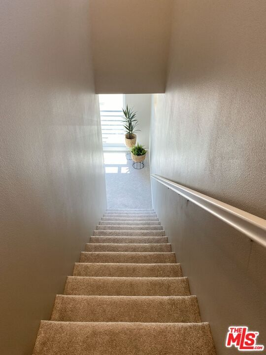 Building Photo - 713 Daniel Freeman Cir