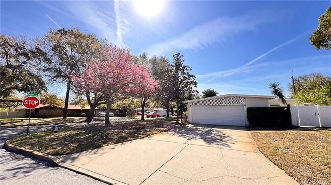 Building Photo - 1516 Dove Dr