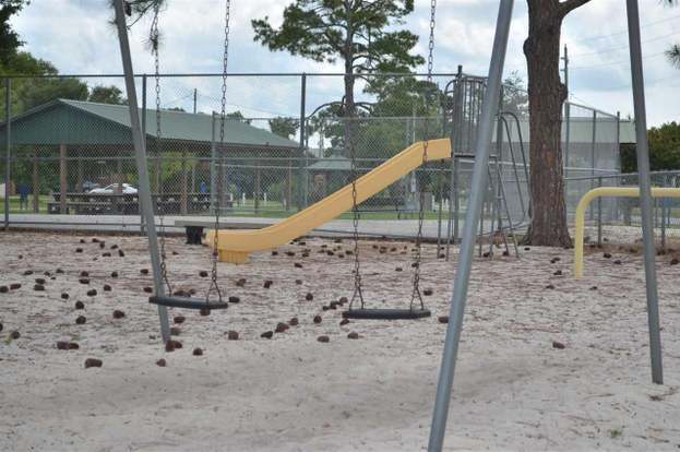 Building Photo - 1223 Redwood Ln