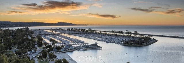 Building Photo - 33526 Coral Reach St