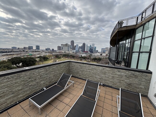 Community roof overlooking park - 3110 Thomas Ave