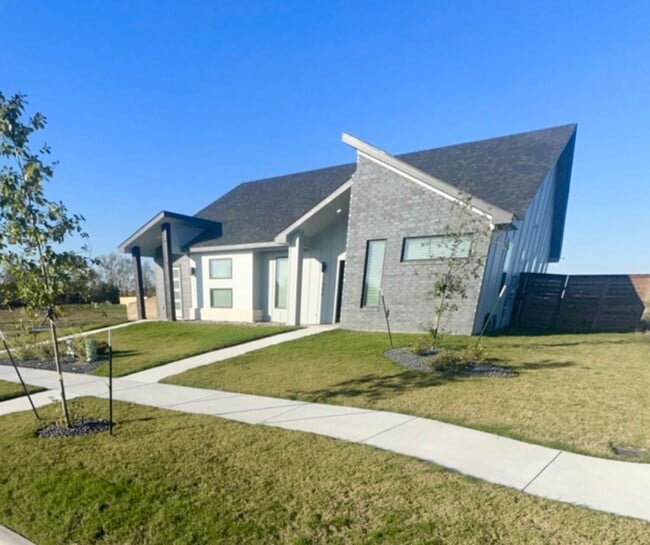 Primary Photo - AVAILABLE NOW!