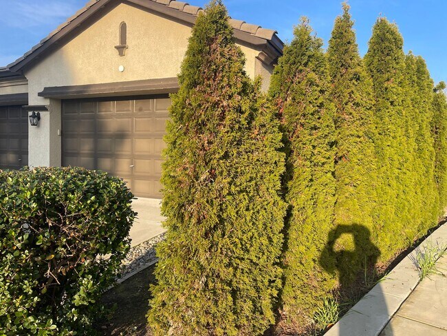 Building Photo - Ideal 4br/2ba single story in Morada