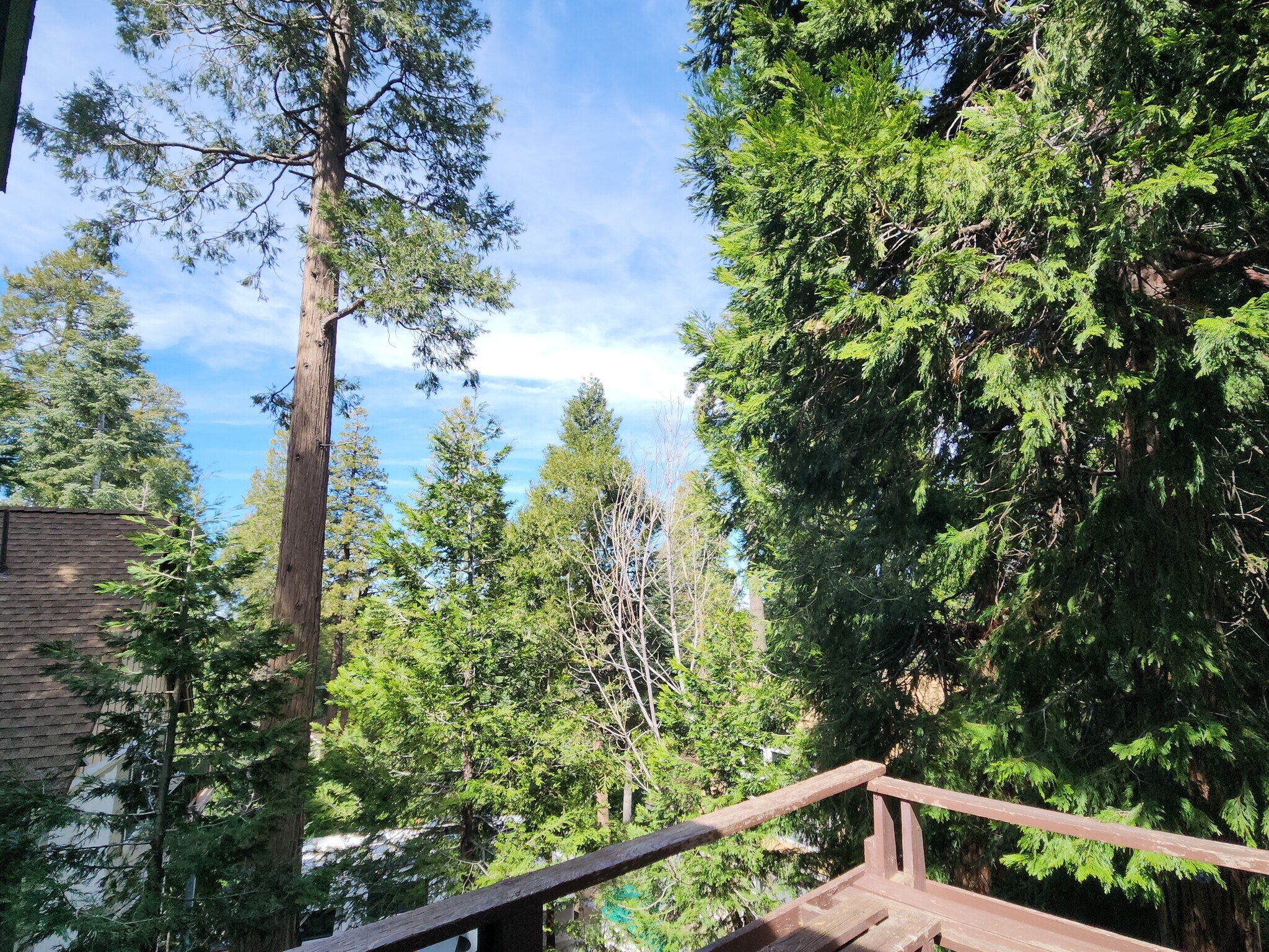 Building Photo - 865 Bear Springs Rd