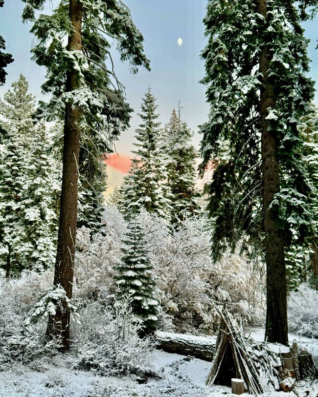 Building Photo - SKI LEASE "Honey Bear Cabin"