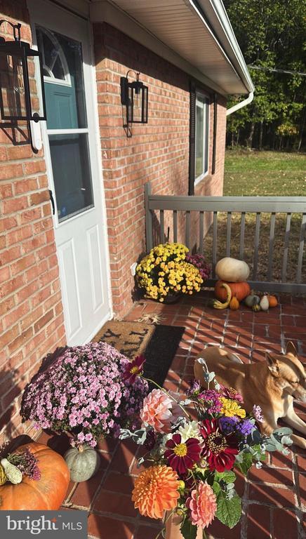 Building Photo - 1418 Shady Rst Rd