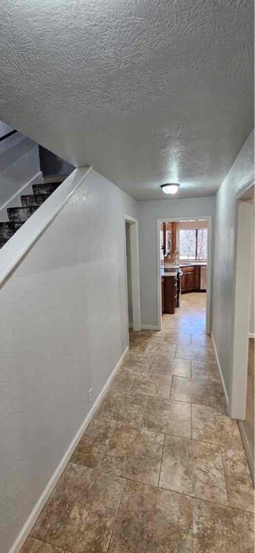 Building Photo - 2308 Shady Tree Ln