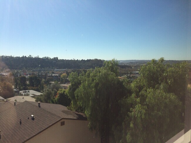 View from picture window - 5941 Mildred Street