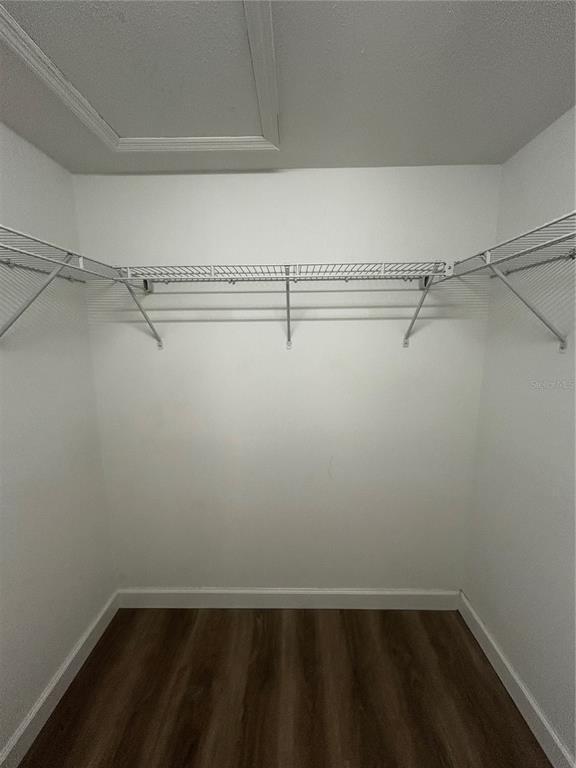 Building Photo - 4089 Lake Forest Dr