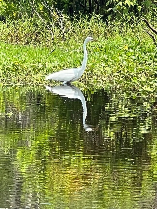 Building Photo - Wonderful remodeled Waterfront Condo == Great I-4 location with Community Pool