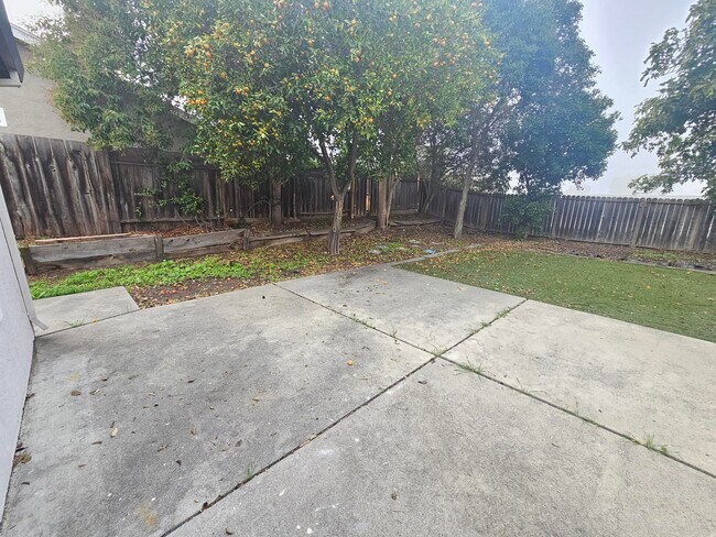 Building Photo - 2253 Hamlin Dr