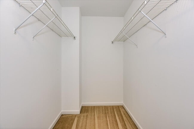 Building Photo - 873 Rollo Domino Cir