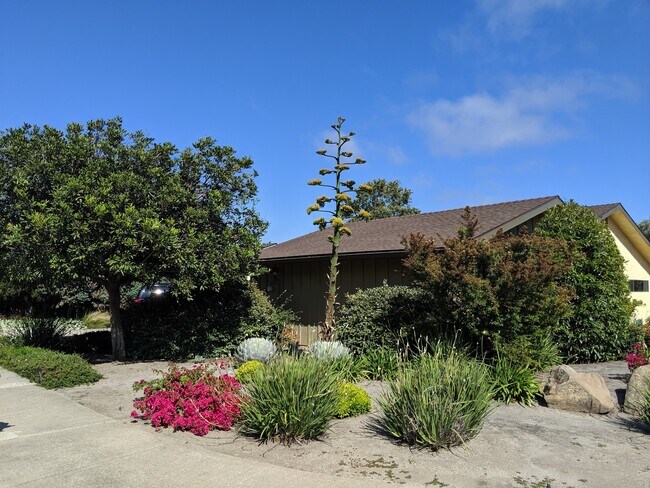 Building Photo - 203 Patricia Ct