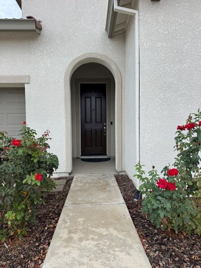 Building Photo - Beautiful Springlake Home with Solar and S...