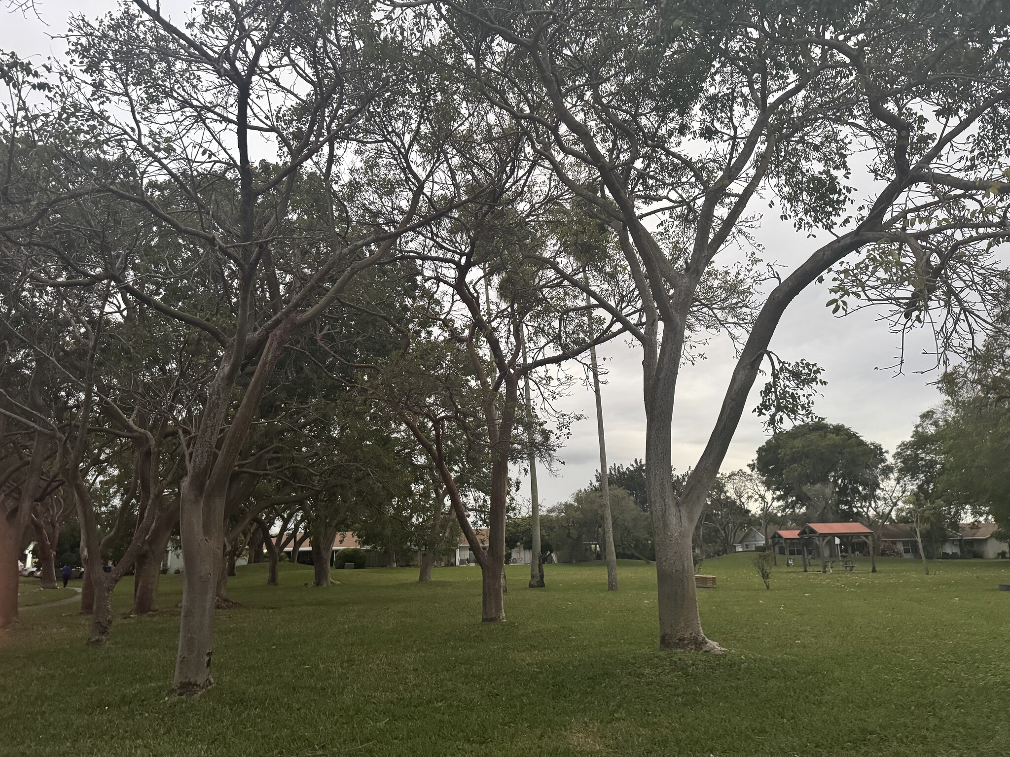 Building Photo - 5482 Lakewood Cir S