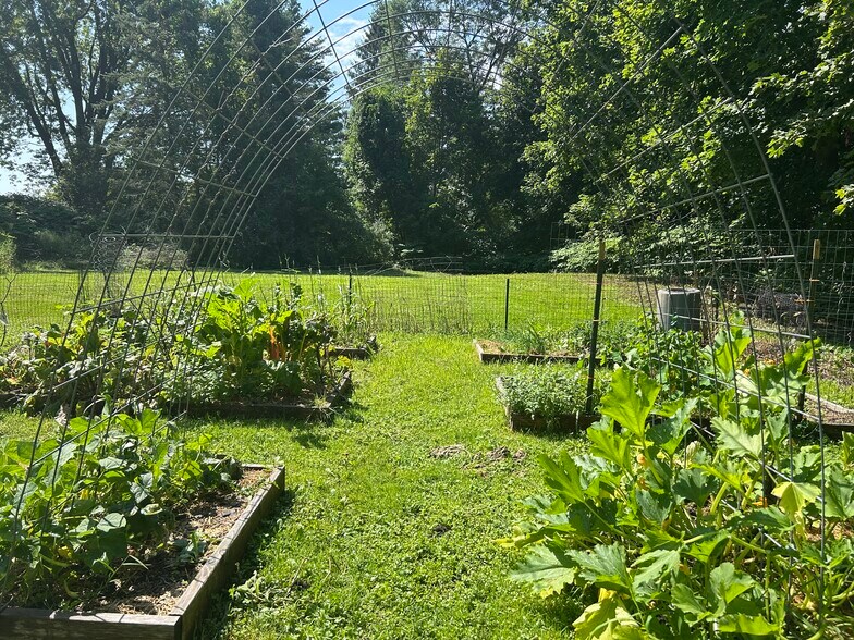 Communal vegetable garden - 32 Meadow St