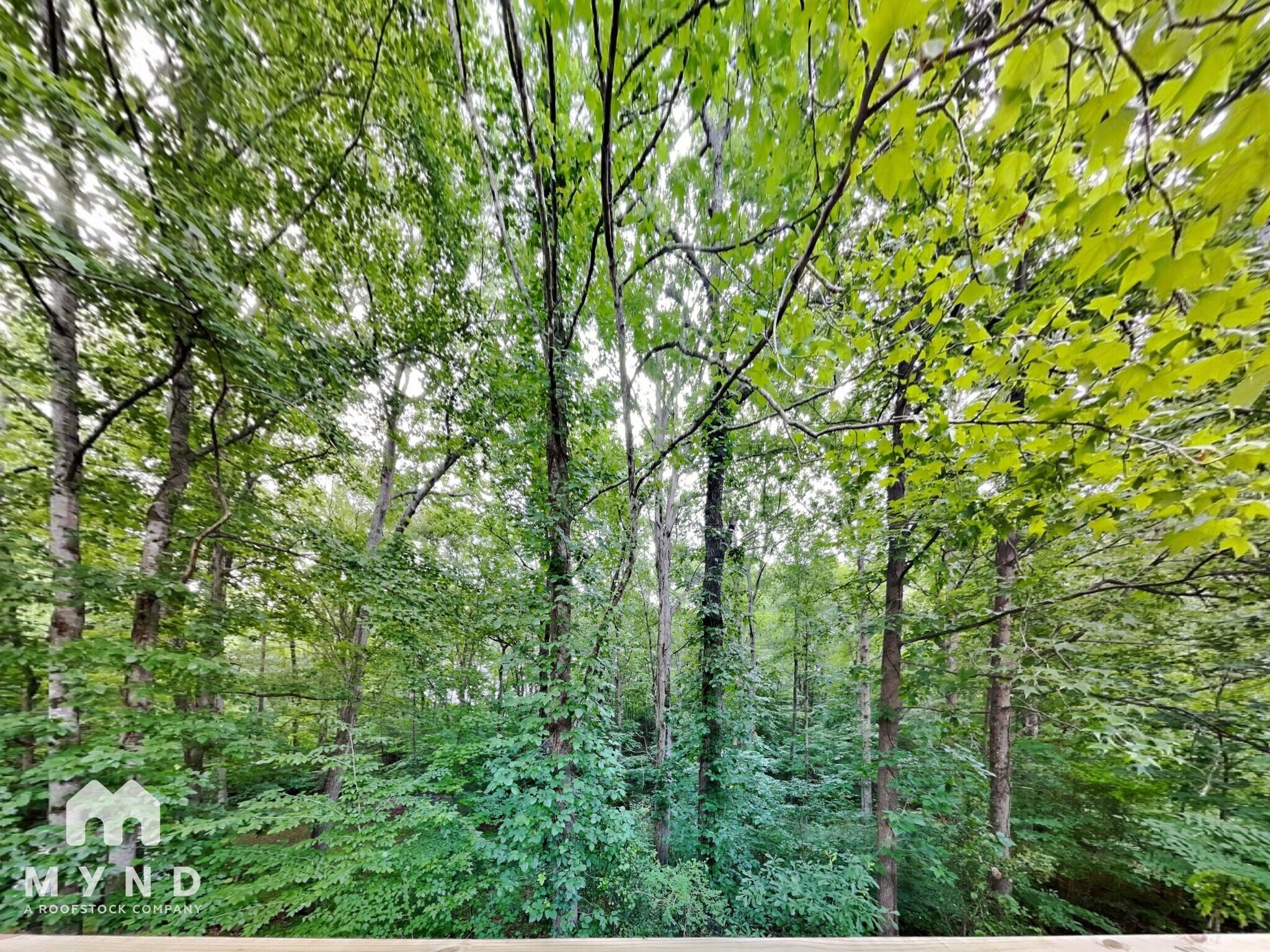 Building Photo - 2605 Winding Creek Dr