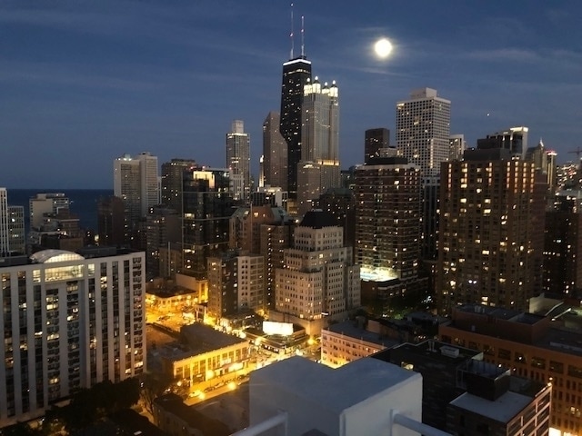 Building Photo - 1255 N Sandburg Ter