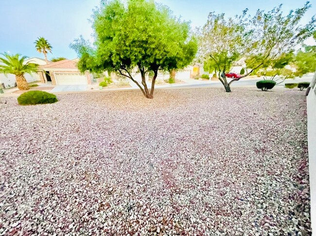 Building Photo - Charming Single-Story Corner Lot Home in Solera 55+ Community