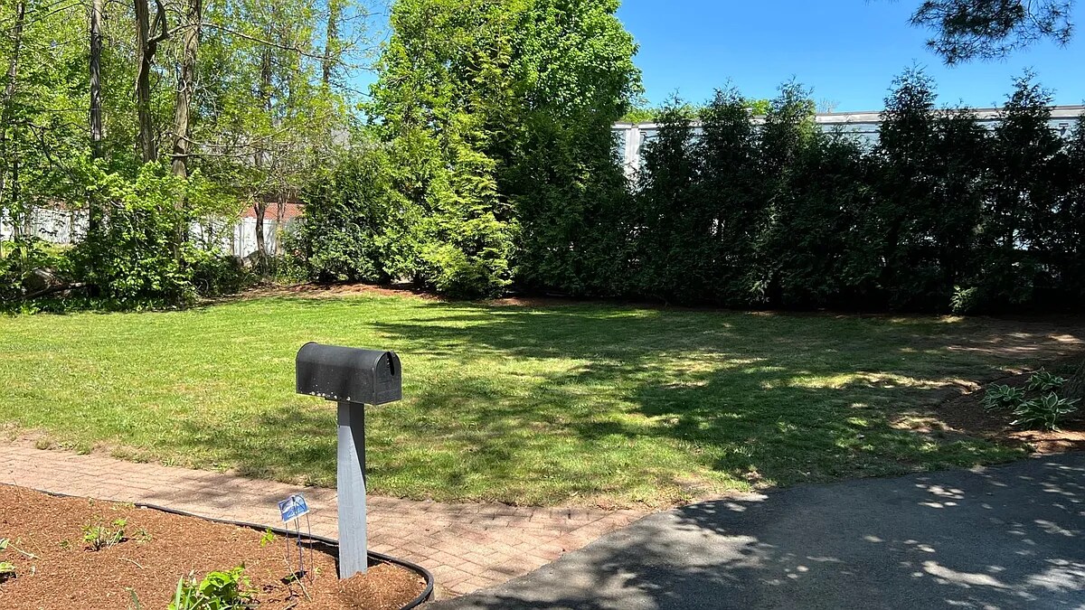 Front lawn - 102 Main St