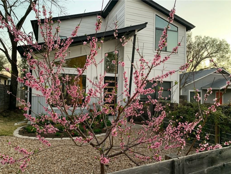 Fruiting Peach Tree in the Front Yard - 2004 E 10th St