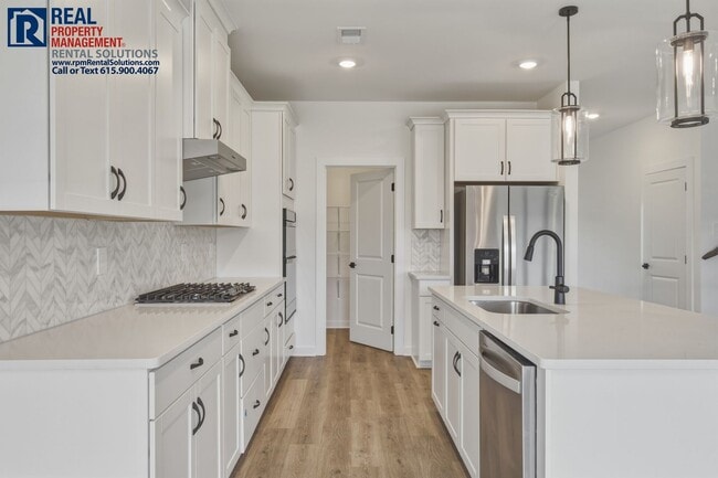 Building Photo - BRAND NEW luxury 5BD 4BA home w/ neighborhood pool! Triple Rockvale Schools! Internet included!