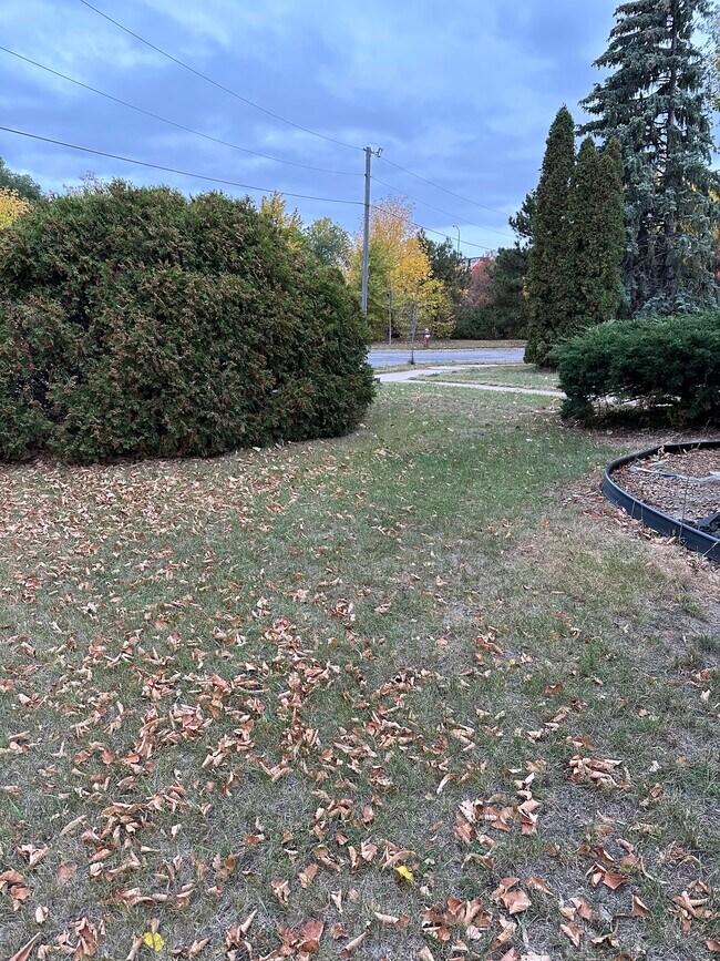 Front Yard - 701 Tyler St NE
