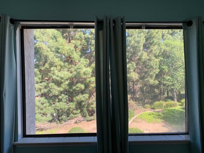 Building Photo - 10021 Paseo Montril